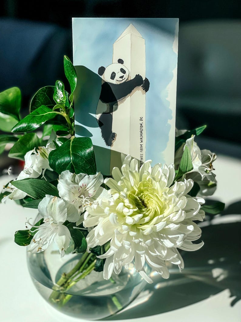Washington DC postcard featuring a whimsical illustration of a giant panda climbing The Washington Monument. A fun and charming souvenir celebrating the return of pandas to DC. Perfect gift for panda lovers, Washingtonians and DC enthusiasts!