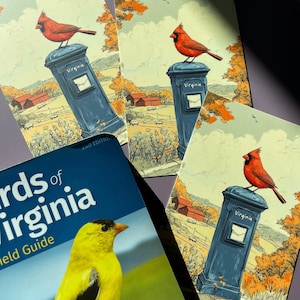 Virginia Cardinal Postcard, Cardinal Delivery, Red Cardinal Bird Art, Virginia State Symbol Souvenir, Elegant 4x6 Cardinal Postcard
