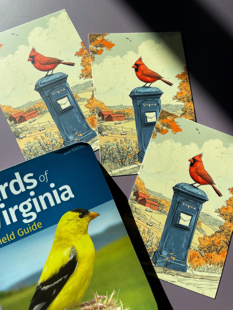 Virginia Cardinal Postcard, Cardinal Delivery, Red Cardinal Bird Art, Virginia State Symbol Souvenir, Elegant 4x6 Cardinal Postcard