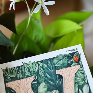 Virginia 4x6 postcard featuring the letter "V" decorated with lush green leaves and botanical details, celebrating the state's rich natural beauty. A perfect 4x6" Virginia souvenir, printed on high-quality matte cardstock for nature lovers, postcrossers, and plant enthusiasts.