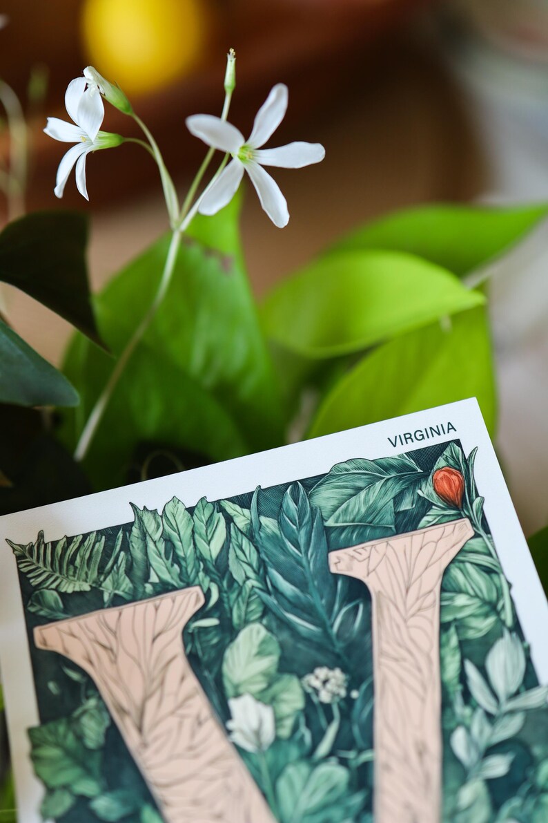 Virginia 4x6 postcard featuring the letter "V" decorated with lush green leaves and botanical details, celebrating the state's rich natural beauty. A perfect 4x6" Virginia souvenir, printed on high-quality matte cardstock for nature lovers, postcrossers, and plant enthusiasts.