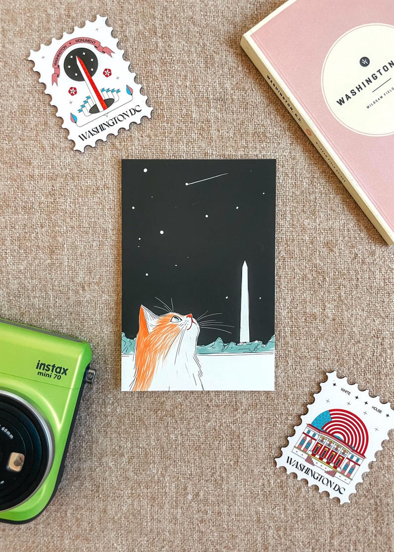 Hand-drawn Washington DC postcard featuring a cozy cat under the Washington Monument at night with a comet in the sky. Perfect DC souvenir, gift, or collectible for cat lovers, stargazers, and fans of unique illustration art