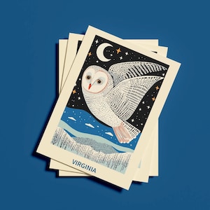 Cartolina della Virginia, gufo sulla Virginia, regalo e souvenir dello stato della Virginia, illustrazione di uccello stravagante, cartolina della fauna selvatica 4x6, regalo unico