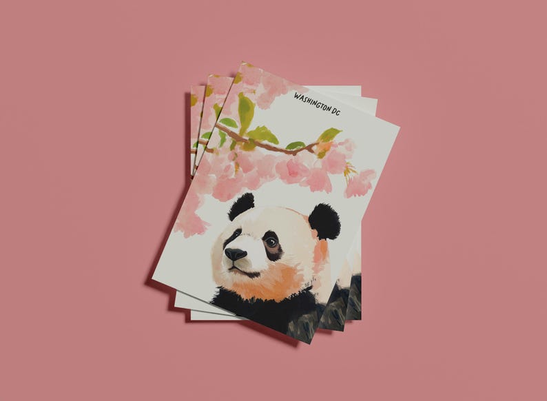 Charming Washington DC postcard featuring a whimsical watercolor and ink illustration of a giant panda lounging under blooming cherry blossom trees. A delightful National Mall souvenir, perfect for panda lovers, cherry blossom fans, and DC visitors.