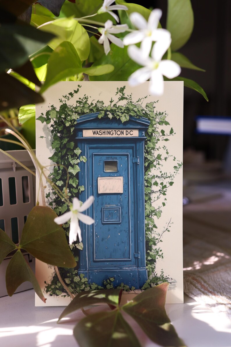 Cartão postal de Washington DC / Caixa de correio azul de DC imagem 6
