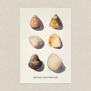 Cartolina di auguri dal Maryland, storie di conchiglie, acquerelli costieri, biglietto d'auguri 4x6 dal vecchio stato della linea, regalo per gli amanti dell'oceano