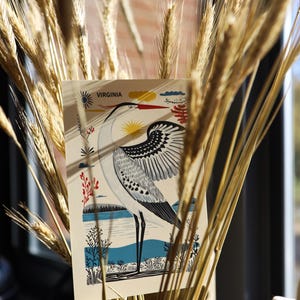Virginia postcard featuring a majestic heron, the state’s graceful water bird, standing by the water’s edge. A perfect 4x6" Virginia souvenir for nature lovers, bird watchers, and wildlife enthusiasts. Printed on premium matte cardstock, capturing the serene beauty of Virginia’s waterways.