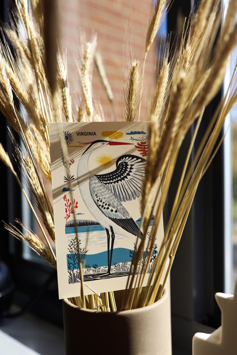 Virginia postcard featuring a majestic heron, the state’s graceful water bird, standing by the water’s edge. A perfect 4x6" Virginia souvenir for nature lovers, bird watchers, and wildlife enthusiasts. Printed on premium matte cardstock, capturing the serene beauty of Virginia’s waterways.
