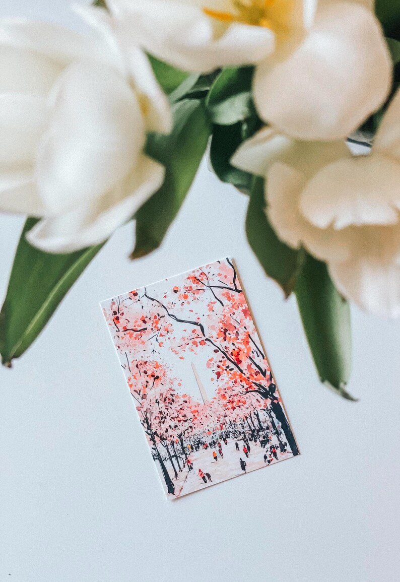 Vibrant cherry blossom art postcard with The Washington Monument, a unique Washington DC souvenir for spring lovers, cherry blossom postcard perfect for gifts or decor