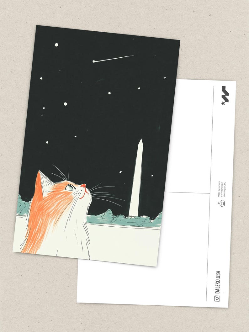 Hand-drawn Washington DC postcard featuring a cozy cat under the Washington Monument at night with a comet in the sky. Perfect DC souvenir, gift, or collectible for cat lovers, stargazers, and fans of unique illustration art