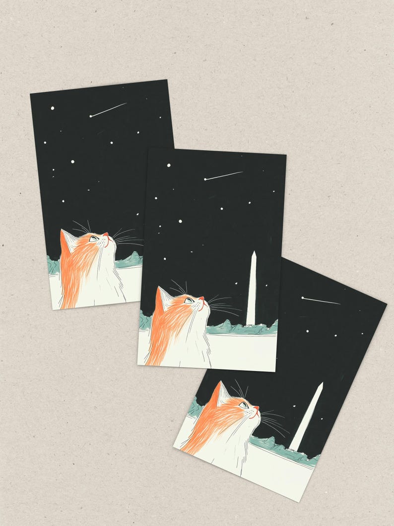 Hand-drawn Washington DC postcard featuring a cozy cat under the Washington Monument at night with a comet in the sky. Perfect DC souvenir, gift, or collectible for cat lovers, stargazers, and fans of unique illustration art