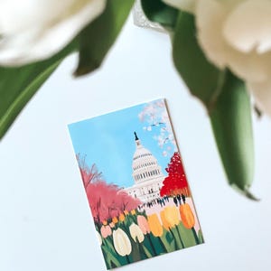 Vibrant cherry blossom art postcard with The US Capitol surrounded by flowers and cherry blossom trees, a unique Washington DC souvenir for spring lovers, cherry blossom postcard perfect for gifts or decor