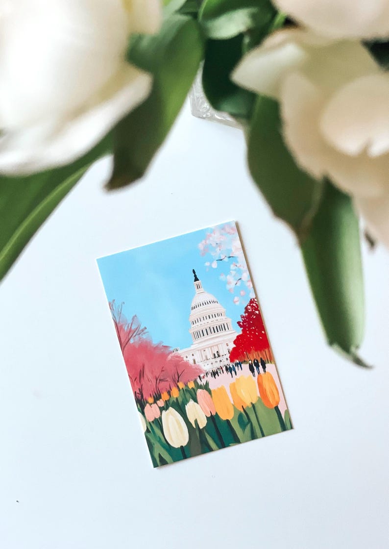 Vibrant cherry blossom art postcard with The US Capitol surrounded by flowers and cherry blossom trees, a unique Washington DC souvenir for spring lovers, cherry blossom postcard perfect for gifts or decor