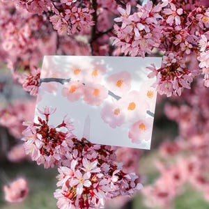 Pocztówka z Waszyngtonu DC z kwitnącą wiśnią, Sakura przy pomniku, Sztuka kwitnącej wiśni, Pamiątka z podróży do DC, Prezent na Postcrossing, Karta artystyczna 4x6