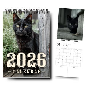 2026 Black Cats Calendar: Monthly Wall Planner, Cat Lover Gift