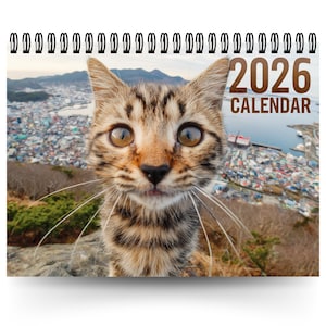 2026 Kitty Cats Calendar | 12 Month Calendar | Cute Cat Calendar | Quirky Novelty Gift | Cat Lover Calendar | Funny Cats 2026 Calendar