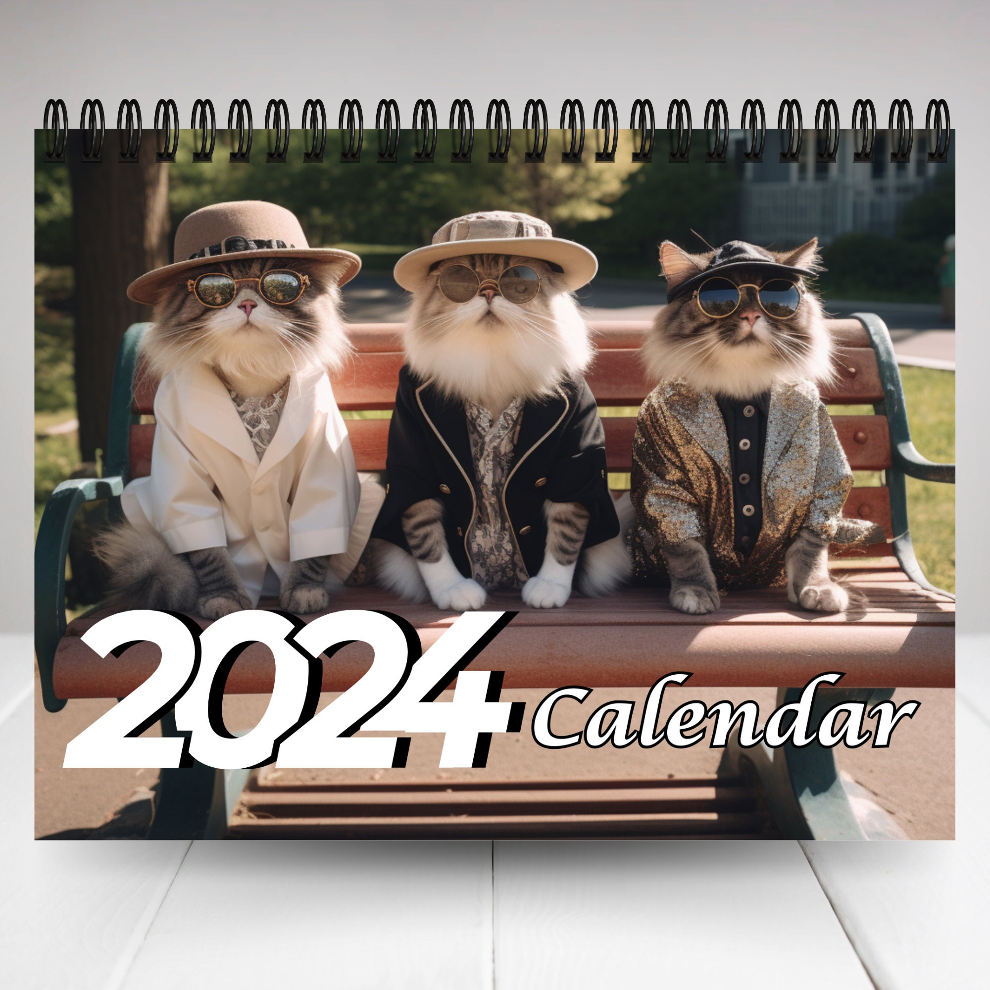 2024 Calendar Lazy Kitty Calendar 2024, Lazy Kitty Wall Calendar, Fun Kitty  Gift January 2024 From December 11x8.5 Inch