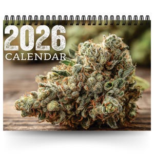 2026 Wall Calendar: 12 Month Weed Stoner Calendar for Home, Office, or Gifting