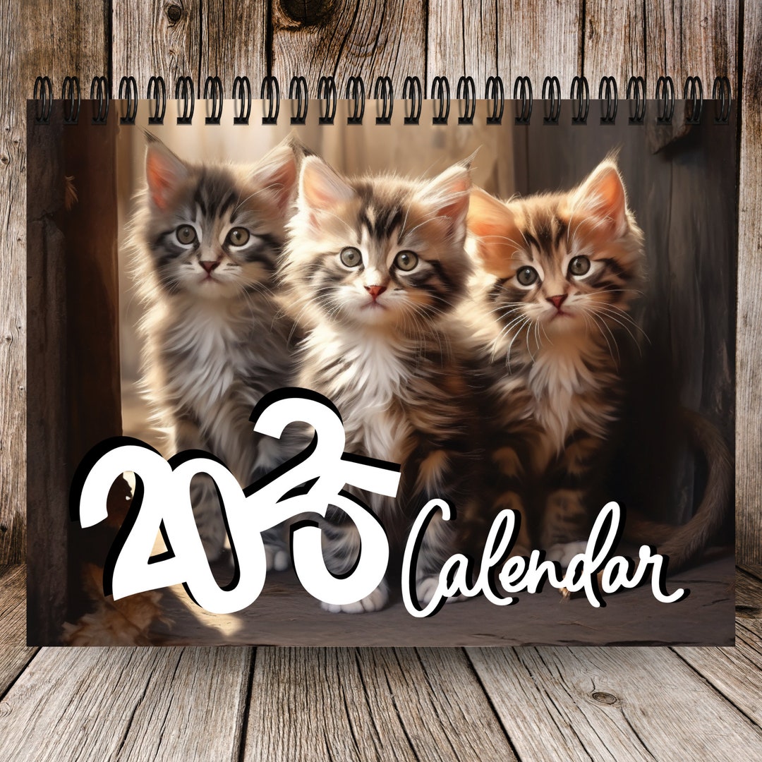 2025 Cat Calendar 12 Month Calendar Kitty Calendar Cute Cat Calendar