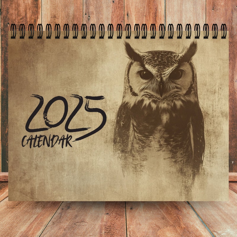 Owl 2025 Calendar Etsy