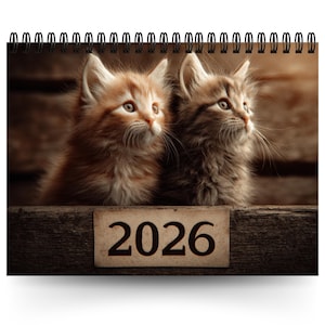 2026 Cat Calendar | 12 Month Calendar | Kitty Calendar | Cute Cat Calendar | Cat Lover Calendar | 2026 Wall Calendar | Funny Cat Calendar