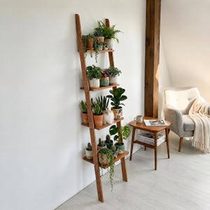 May include: A tall, leaning wooden ladder shelf with five horizontal tiers, holding a variety of potted green plants in ceramic and terracotta containers. The shelf is positioned against a plain white wall, displaying foliage of different shapes and sizes.