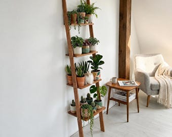 Wooden Ladder Plant Stand, 4 Tier Houseplant Shelf, Tall Indoor Display, Pine Wood Organizer