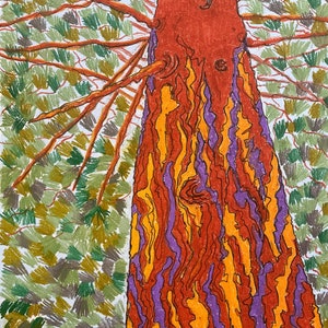 May include: A close-up of a tree trunk with a textured bark pattern. The bark is a mix of red, orange, and purple colours. The tree is surrounded by green foliage.