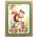 Squirrel Note Cards, Woodland Animal Note Cards, Squirrel Lover Gift - Etsy