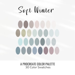 Soft Winter Procreate Color Palette - Etsy