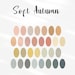 Soft Autumn Procreate Color Palette - Etsy