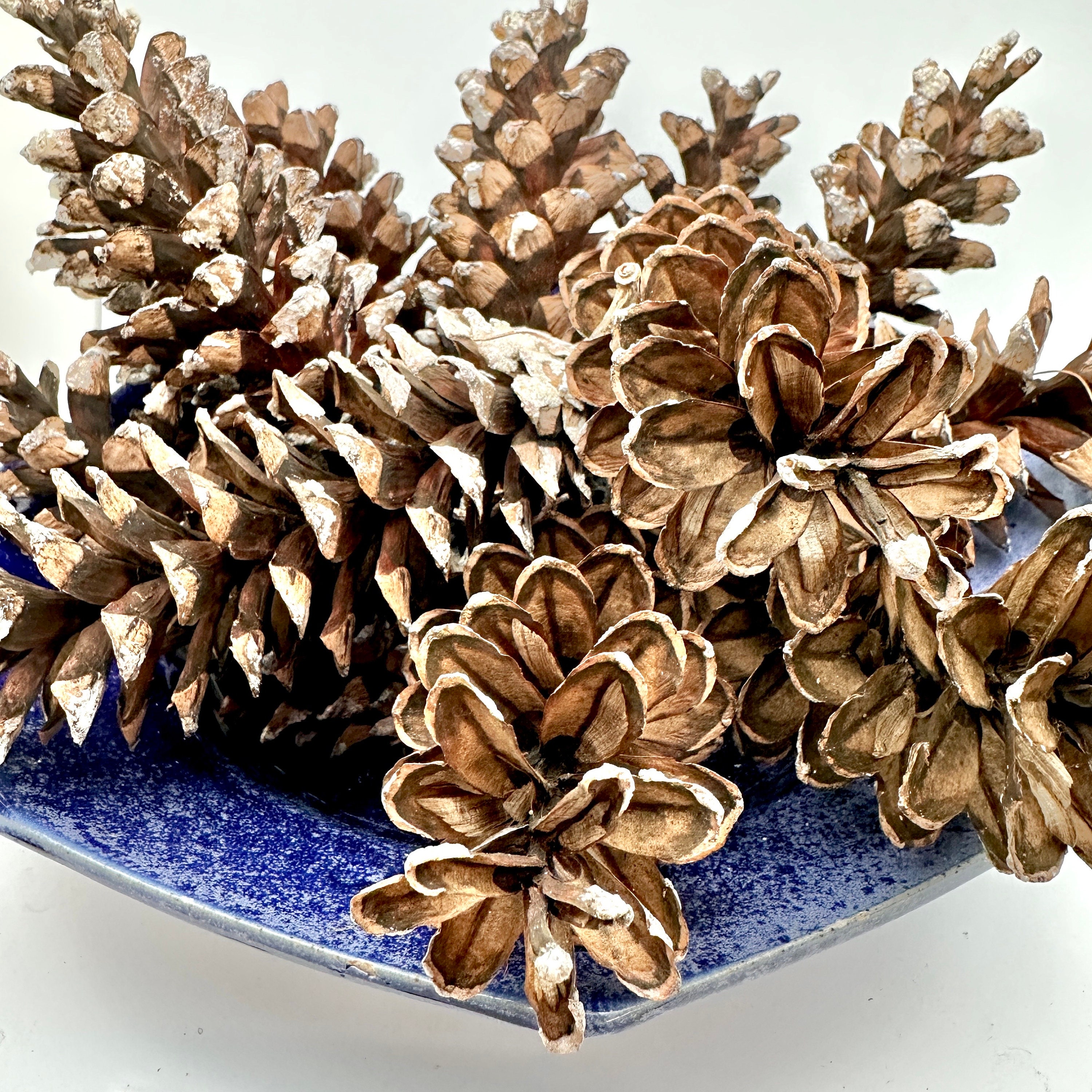 Yahpetes 6 Pcs Christmas Pine Cones 1.96 Snow Tipped Natural Pine Cones Wood Frosted Pine Cone Ornaments for Decorating and Designing (6 Pcs)