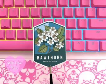 Handmade Vinyl sticker  - Missouri state flower "Hawthorn"