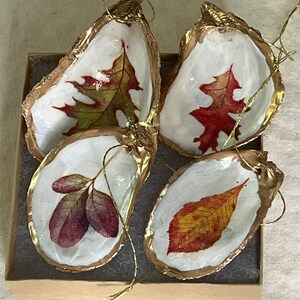 Austernmuschel Ornament