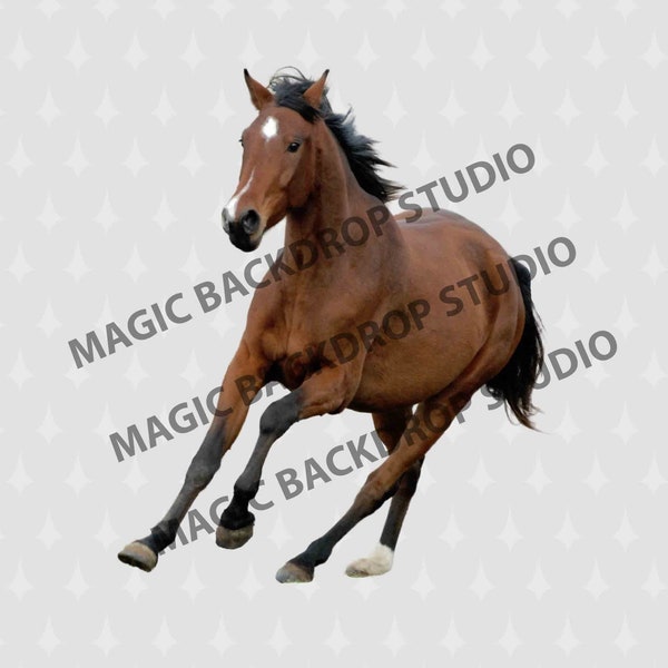 Running Brown Horse animal cut out clip art Overlay Photoshop Photoshop editing templates Prop Digital Scrapbook Composite PNG Clipart