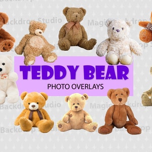 Ours en peluche bébé jouet ours superposition Photoshop Prop accessoires Photoshop montage modèles Digital Scrapbooking Composite PNG Clipart Clip Art PNG