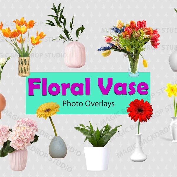 Floral Flower Vase vases floral plant potplant plants clip art Overlay Photoshop templates Prop Digital Scrapbook Composite PNG Clipart