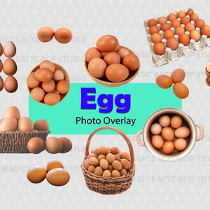Eggs, Egg Laying Chicken Chickens animal clip art Overlay Photoshop Overlays edit templates Prop Digital Scrapbooking Composite PNG Clipart