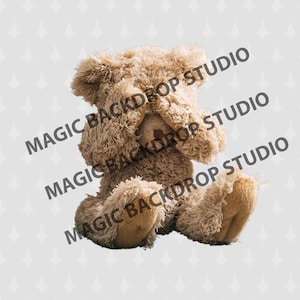 Light brown Toy Teddy bear cut out Bears Overlay Photoshop Photoshop Prop templates Digital Scrapbooking Composite PNG Clipart Clip Art