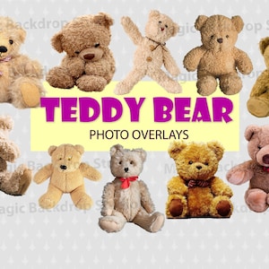 Urso de pelúcia Bebê Ursos Fofos Sobreposição Photoshop Overlays Photoshop Props templates Digital Scrapbooking Composite PNG Clipart PNG