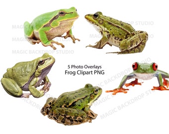 Frog frogs PNG Amphibian Amphibians Bundle Bundles Photo animal clipart Overlay Photoshop Prop Props Scrapbook Composite clip art Vector