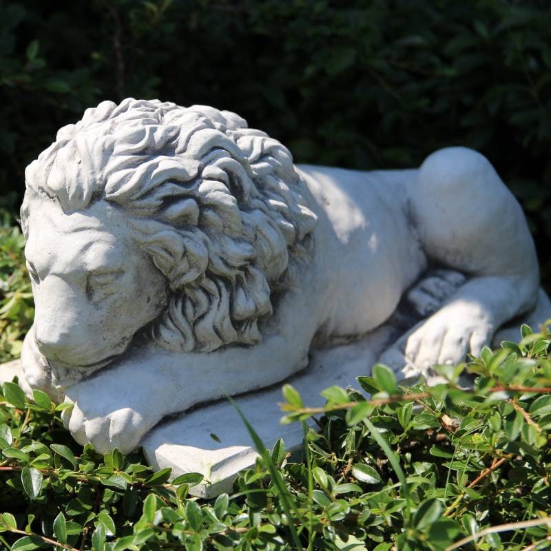 Resting Lion Concrete Statue Sleeping Lion Outdoor Figure Etsy