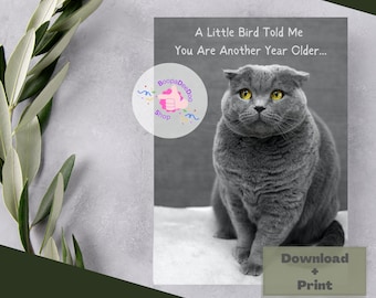 Happy Birthday Card Cat Birthday Card Funny Birthday Card Cute Animals Card Printable Birthday Card Cat Lover Greeting Card