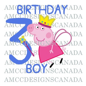 Third Birthday Boy Pig