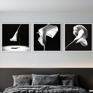 Robert Mapplethorpe Set of 3, Calla Lily Set of 3, Photo Art Print, Black and White Photography Prints, Vintage Art Photography