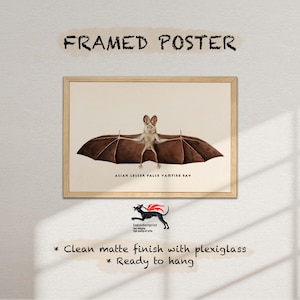 Vampire Bat Framed Canvas Art: Mid-Century Modern Gothic Decor