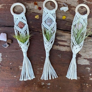 以下が含まれることがあります： 木製の輪が付いた白いマクラメ製のプラントハンガーが3つあり、それぞれに小さな緑色のエアプラントが入っています。ハンガーは、素朴な木製の背景にかけられています。