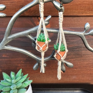 May include: A pair of macrame earrings with small potted succulents hanging from them. The earrings are made with natural beige macrame cord and have gold-toned hooks.
