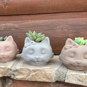 May include: Three gray and pink cat-shaped planters with green succulents. The planters have a cute, cartoon-like design with a bow on top of each head.