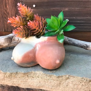 May include: A ceramic planter shaped like two breasts, with a light brown and white glaze. The planter is filled with green and red succulents.